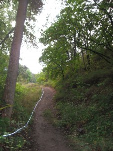 Pathway to the Campground
