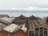 Dogpatch